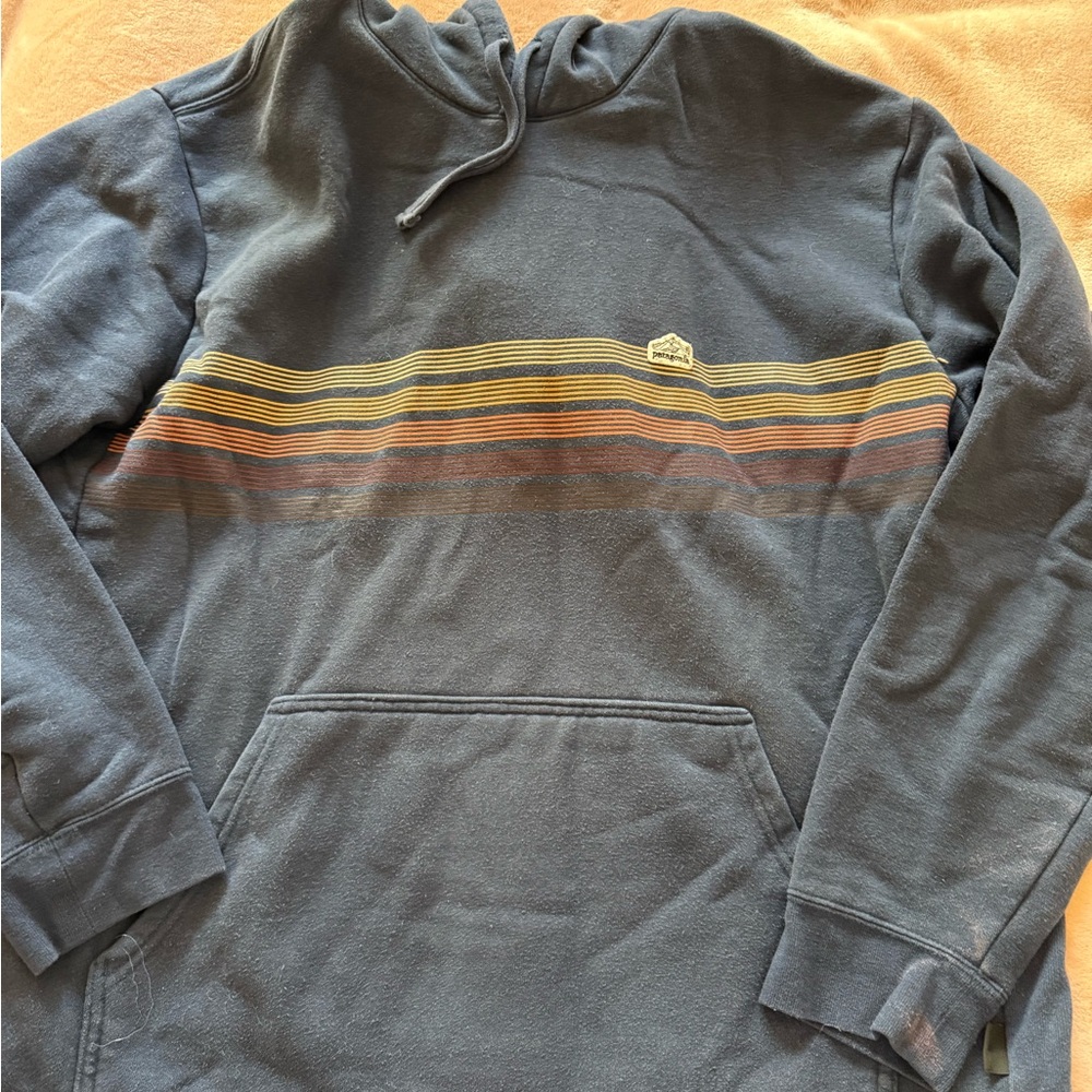 Patagonia Blue Hoodie with Multicolor Stripes